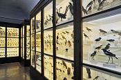 la specola zoologie 8-2017 0766